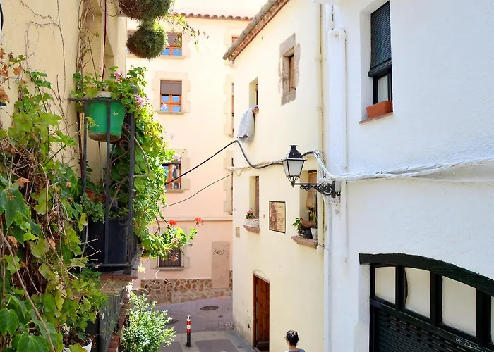 Charming Loft - Historical Center Apartment